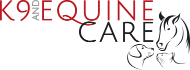 k9 and Equine Care - Friendly Dog Walker Yarnton